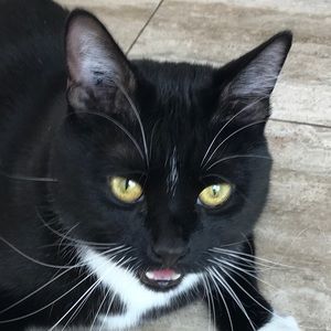 Meet your Posher, Leeann